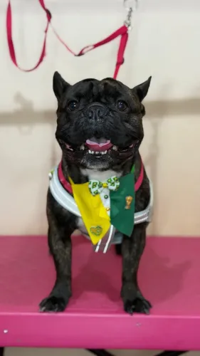 Procuro uma namorada