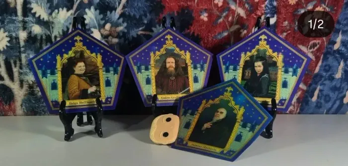 Cards Fundadores hogwarts harry potter sapo chocolate do parque