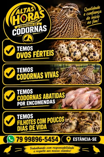 CODORNAS