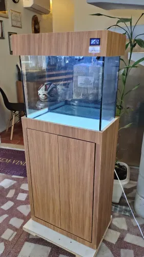 Aquário completo 50 litros
