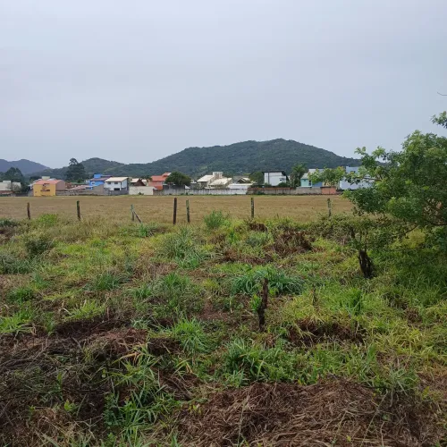 Terreno no Campeche