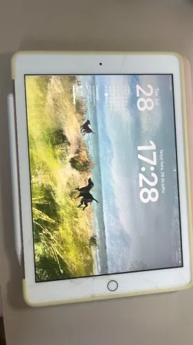 iPad rose 6º geração