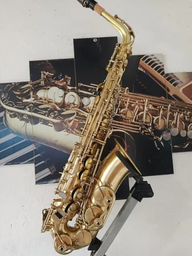 Saxofone Alto Prelude Made in Taiwan Envio para Todo Brasil