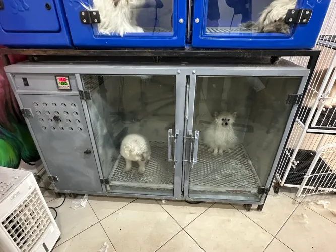Máquina de secar pet