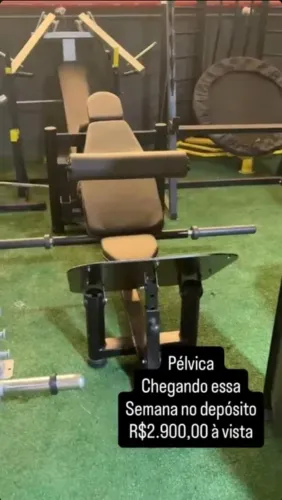 Pélvica