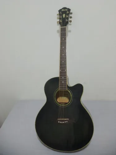 Violão ibanez AEL20E
