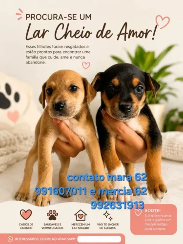 Doação