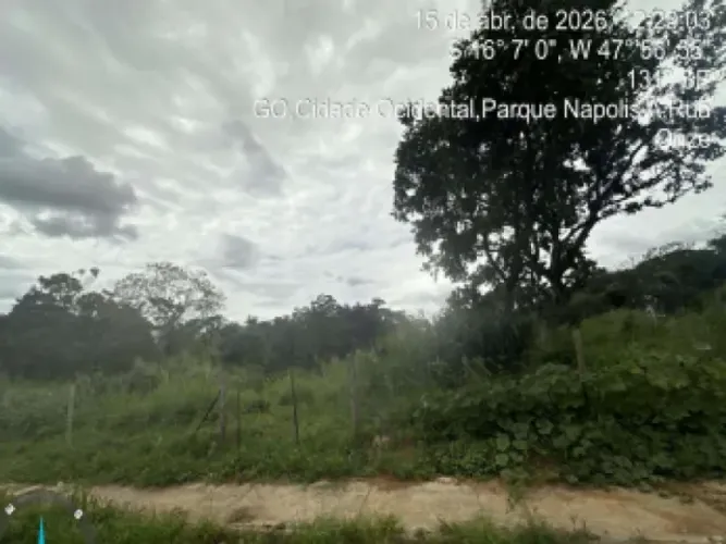 Lote, Residencial, Parque Nápolis - 7965m²