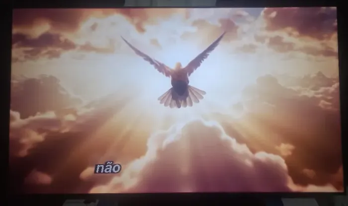 TV  TCL 75 POLEGADAS 
