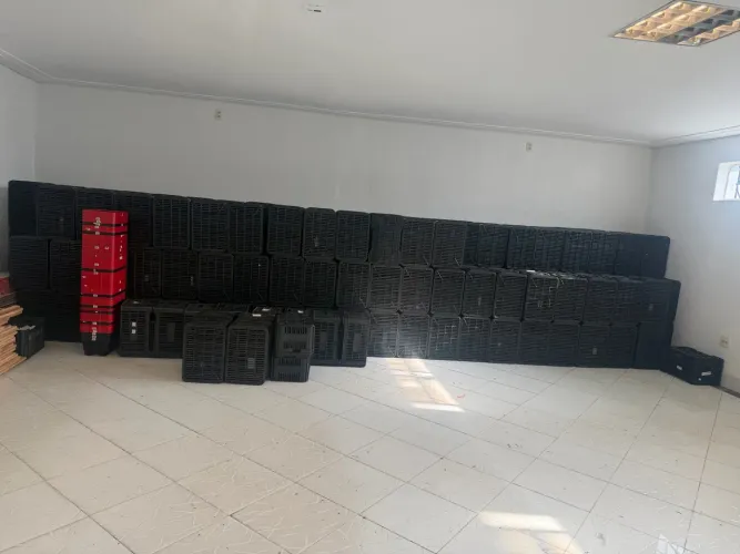 Caixa organizadora