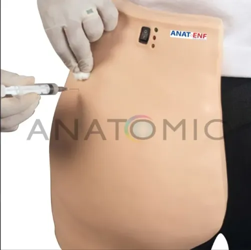 SIMULADOR DE INJEÇÃO INTRAMUSCULAR GLÚTEO ANATOMIC TGD-4009-S - NOVO