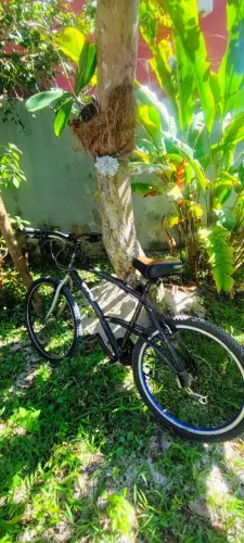 Bicicleta Caloi 