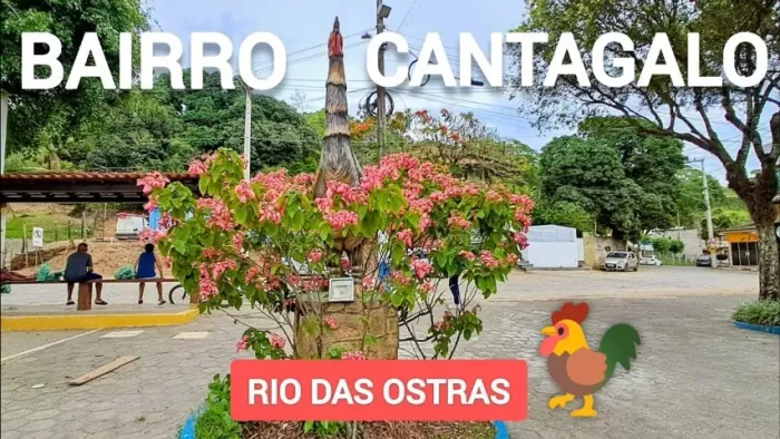 Vendo ou troco por carro, pequena area no centro de Canta Galo Rio das Ostras RJ 1240 m2