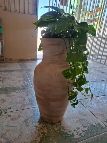 Vaso com planta