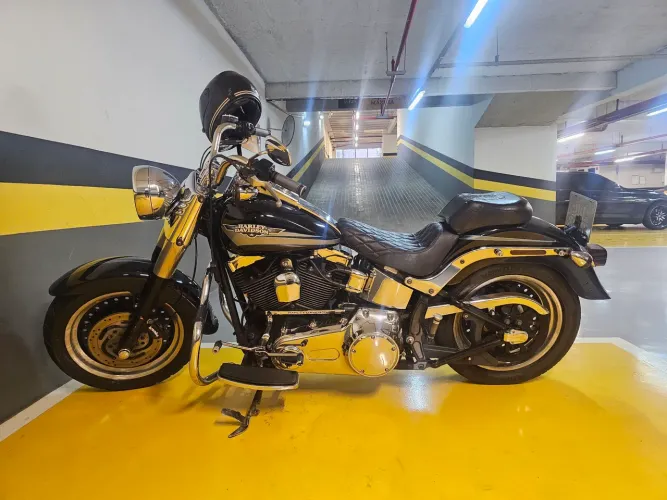 Harley davidson fat boy