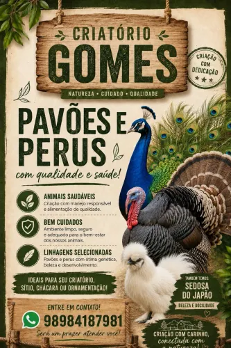 ? PAVÕES E PERUS À VENDA! ?