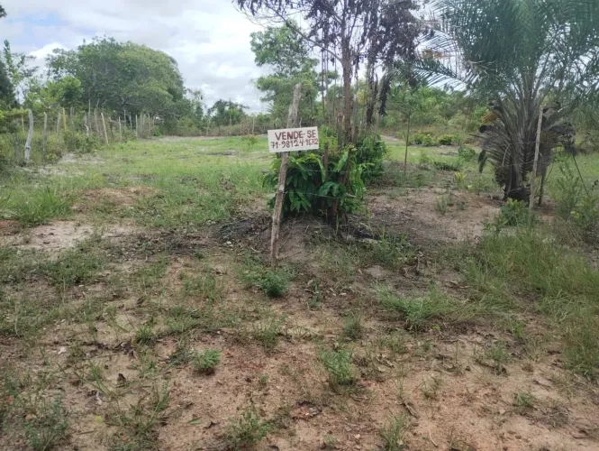 Terreno Linha verde