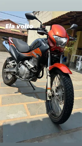 Falcon laranja 