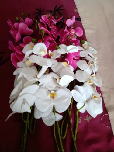 Flores orquídeas