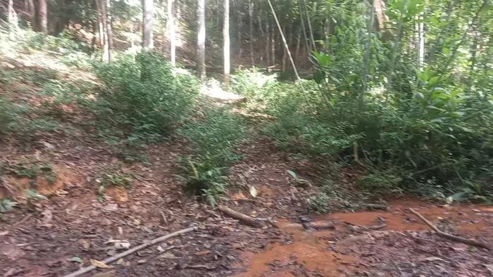 Terreno em Domingos Martins em rapadura com escritura *