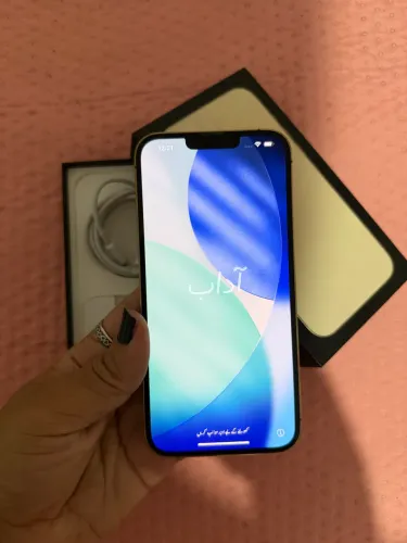 iPhone 13 Pro Max dourado