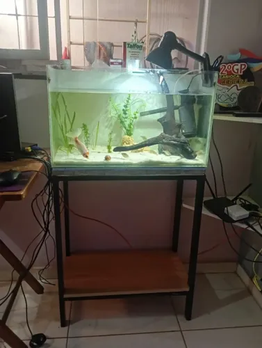 Aquário 63L