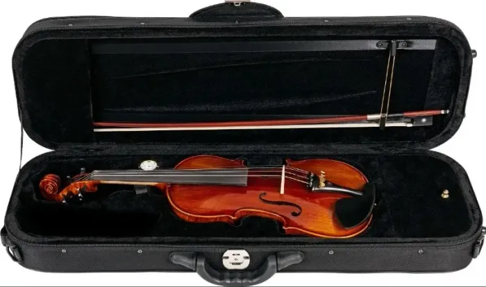 Violino Eagle VK 644 e assessórios