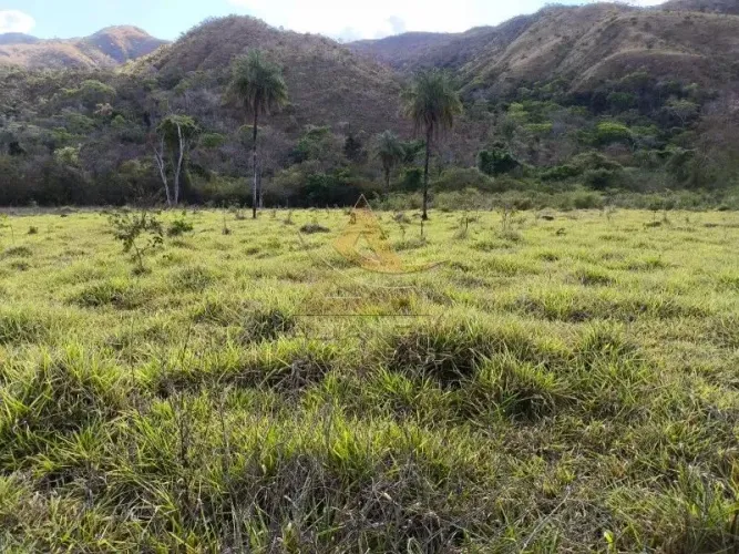 Fazenda - Natividade - Zona Rural