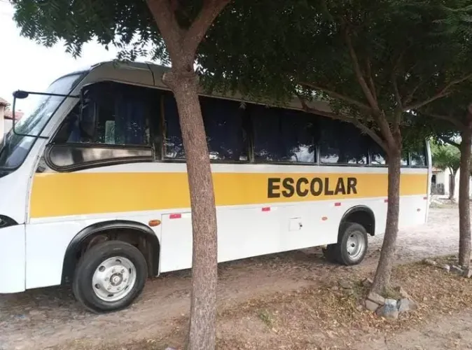 Microônibus Marcopolo Volare W8