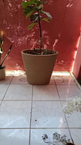 Vaso Oval Grande de Cimento para Plantas