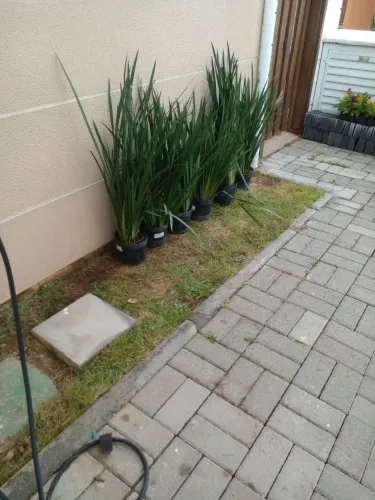 Limpeza