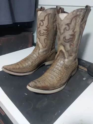 Botas goyazes