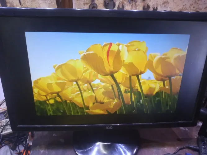 Monitor AOC 22 polegadas VGA e DVI