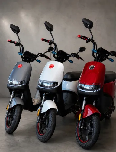 Moto Elétrica Foston X15 Max (13 ex) 1000W / Valor promocional