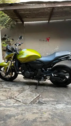 Hornet 2010/10