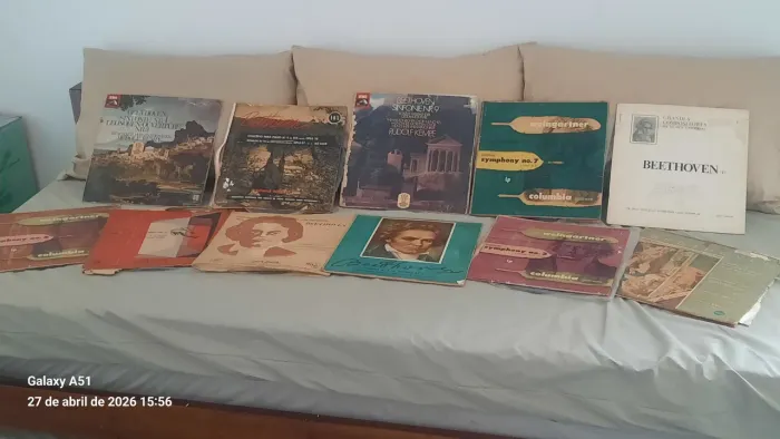 Discos de vinil ( o valor é de todos)