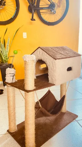Casinha arranhador para gatinhos