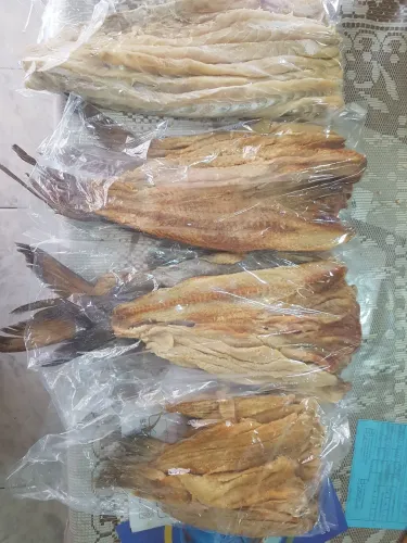 Peixe Salgado