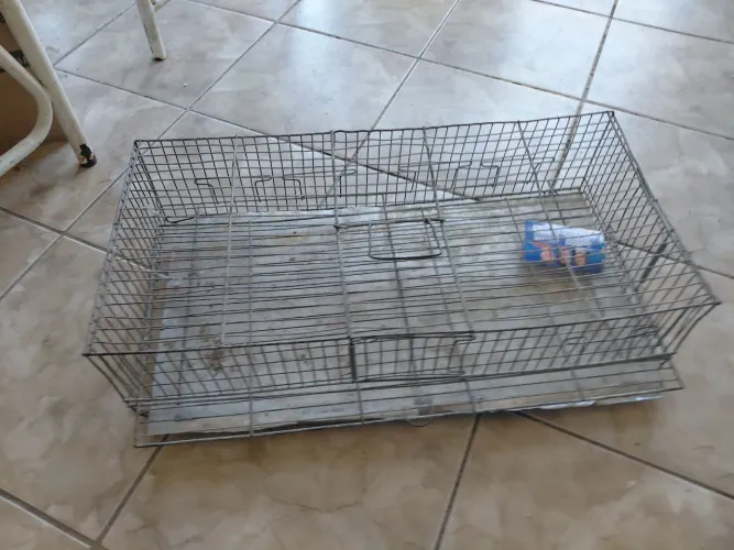 Vendo gaiola transporte de pássaros 60.00