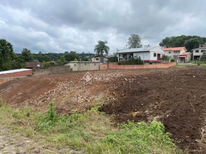 Terreno Cruzeiro