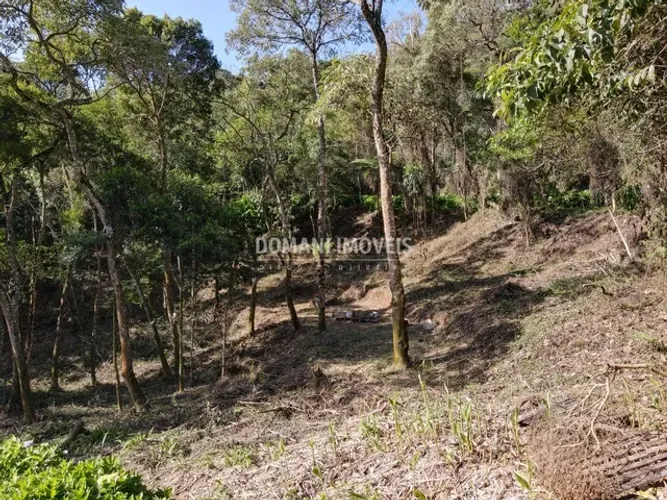 Maravilhoso Terreno à Venda na Região do Alpes de Campos do Jordão - Campos do Jordão/SP