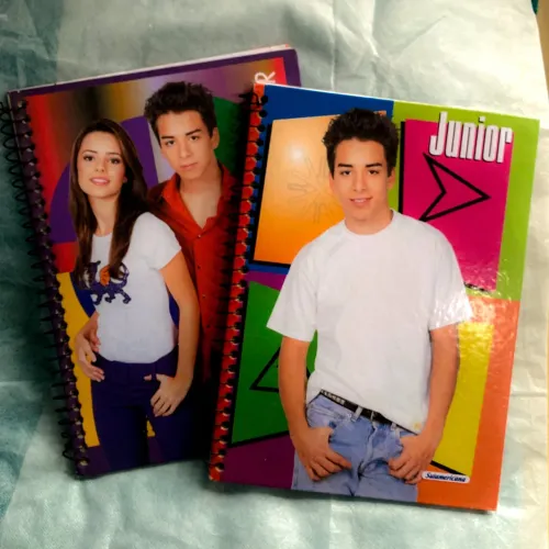 Caderno Sandy e Júnior - Anos 2000 - 1 matéria - 2 Modelos - NOVOS