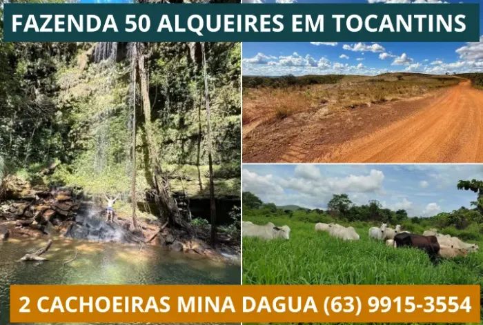 Fazenda, Terra,Tocantins, Porto Nacional, Agua, Rio, Corgo,Platanção, Soja, Cana, Canavial