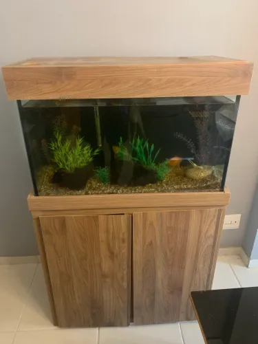 Aquário Completo 126 litros, pronto para uso