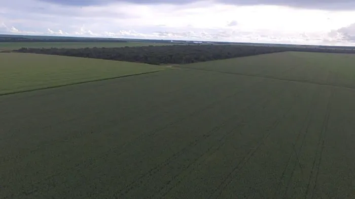 Fazenda de arrendamento MT. 5.200 hec plantando argila 25 a 40% colhendo 84 sacas por hec