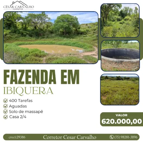 FAZENDA EM IBIQUERA - 400 TAREFAS