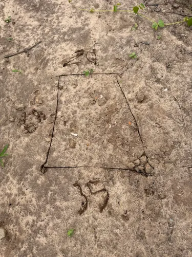 Terreno em Tobias barreto