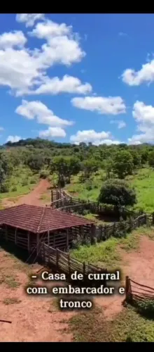 Fazenda 120 Hectares 800 Metros de rio...