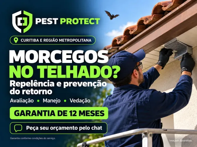 Repelência de morcegos em Curitiba com garantia de 12 meses