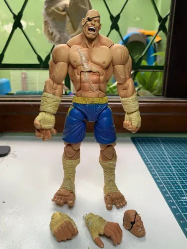 Sagat sota toys